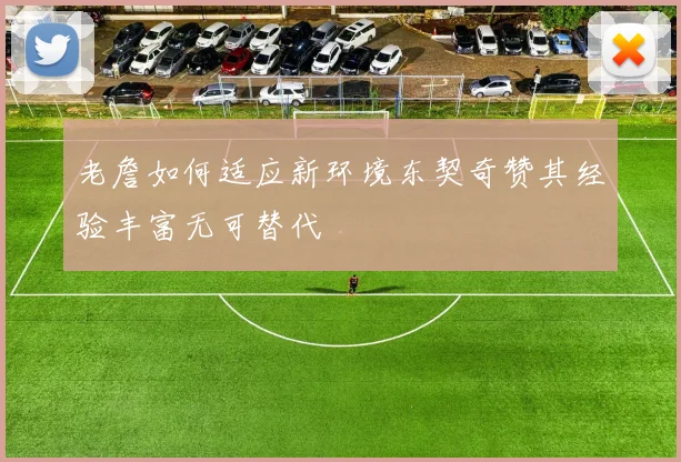 老詹如何适应新环境东契奇赞其经验丰富无可替代