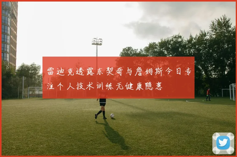 雷迪克透露东契奇与詹姆斯今日专注个人技术训练无健康隐患