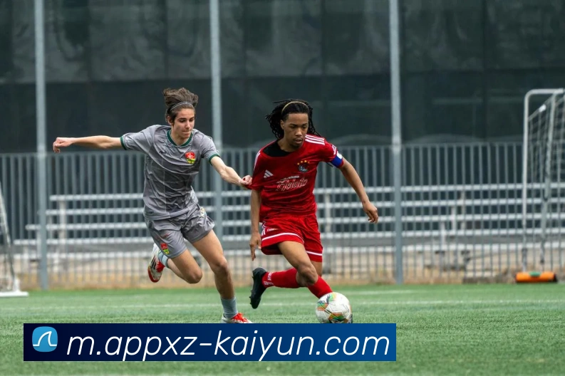 开云体育服务体系